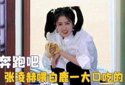 吃瓜直播讲白鹿,吃瓜群众围观娱乐圈风云