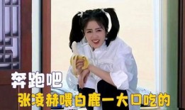 吃瓜直播讲白鹿,吃瓜群众围观娱乐圈风云