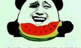 梦到姥爷给我瓜吃,姥爷送瓜的温馨瞬间