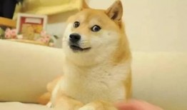 带你吃瓜打脸瞬间,揭秘娱乐圈真相