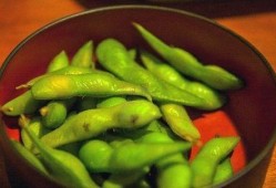 吃瓜大料温琴,温琴背后的故事与真相