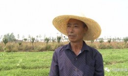 沭阳吃瓜,探寻当地特色美食之旅