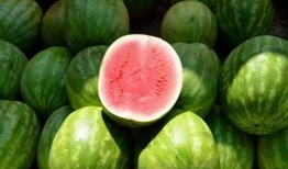 西瓜视频吃瓜人