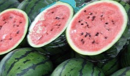 热心网友铁粉吃瓜,揭秘网络热议背后的真相