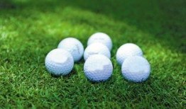 佛科院球场吃瓜,揭秘校园热点背后的真相