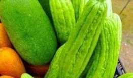 体制内的吃瓜,揭秘官场“吃瓜”背后的真相