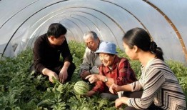 新疆吃瓜高清视频,高清视频带你领略瓜乡魅力