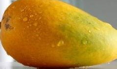 长粉刺吃哈密瓜,长粉刺者的天然食疗秘籍