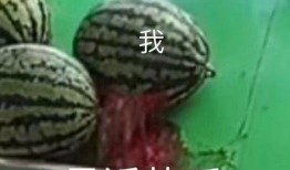 我在网上吃瓜,揭秘娱乐圈幕后真相