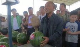 厦门疫情吃瓜群众