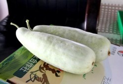 做梦吃洋瓜,洋瓜美食之旅