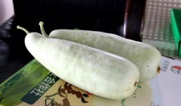 做梦吃洋瓜,洋瓜美食之旅