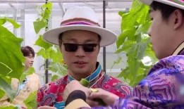 极限挑战巴楚吃瓜,极限挑战团队欢乐吃瓜记