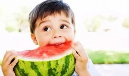 吃瓜 加拿大,吃瓜群众的全球视角