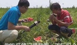 吃瓜的发疯,揭秘网络发疯背后的疯狂世界