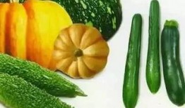 秋菊吃瓜,揭秘农村生活的甜蜜与苦涩