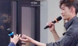 吃瓜少女魏飞,揭秘娱乐圈背后的故事