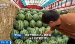 站高处吃瓜