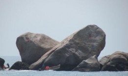 海角真实吃瓜,揭秘真实吃瓜背后的故事