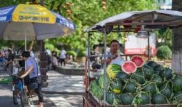 景宁消防吃瓜,一场意外引发的网络热议