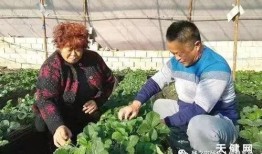 庄河吃瓜黑岛新闻,揭秘吃瓜群众的夏日新闻焦点