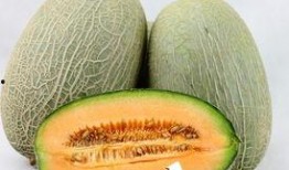 吃牛肉后吃哈密瓜