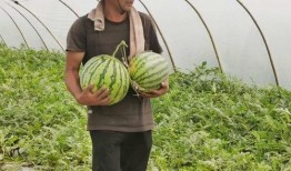 大民吃瓜,揭秘娱乐圈幕后故事