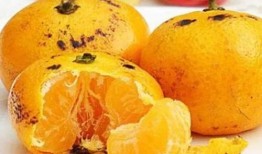 桔梓吃瓜,揭秘娱乐圈幕后故事