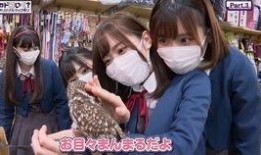 推特爆料吃瓜,娱乐圈最新瓜料，揭秘明星幕后故事！”