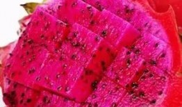 吃籽瓜会尿血吗,真相大揭秘”