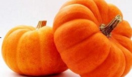 金瓜吃瓜网,揭秘娱乐圈幕后故事，带你走进明星真实生活