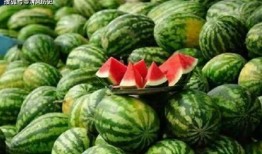 吃瓜的叮铛,揭秘娱乐圈那些不为人知的幕后故事