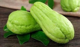 彩六吃瓜梗,揭秘游戏圈的那些“瓜”