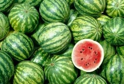 吃瓜买瓜新鲜的,吃瓜买瓜，新鲜体验一网打尽