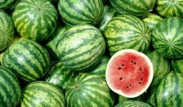 吃瓜买瓜新鲜的,吃瓜买瓜，新鲜体验一网打尽