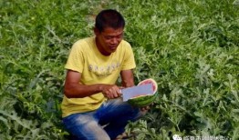 临夏吃瓜怎么爆料,揭秘爆料背后的真相