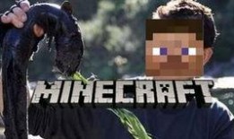 超燃转场吃瓜,吃瓜群众围观娱乐圈风云变幻