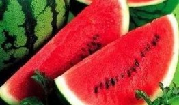 吃瓜有什么成分,营养与健康的双重享受
