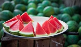 小说吃瓜摆烂夏天,夏天里的悠闲时光