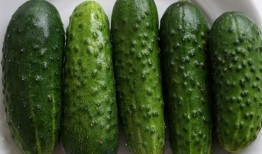 蒲芦瓜怎么吃,探索美味与健康的完美融合