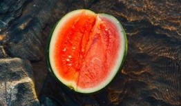 陆玑吃瓜,揭秘娱乐圈背后的秘密与真相