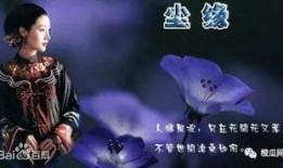 仙侠吃瓜小说,吃瓜群众揭秘仙侠秘闻