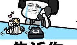 吃白瓜幽默笑话,一场关于夏日清凉的欢乐盛宴