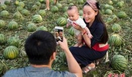 潍坊峡山吃瓜群众,夏日吃瓜群众的欢乐盛宴