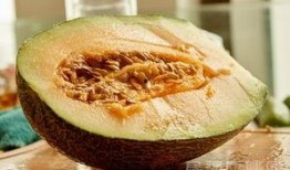 吃哈密瓜可以吃陈皮吗,美味搭配的饮食新体验