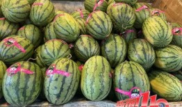 热心网友铁粉吃瓜,揭秘网络热议背后的真相