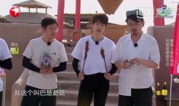 极限挑战巴楚吃瓜,极限挑战团队欢乐吃瓜记