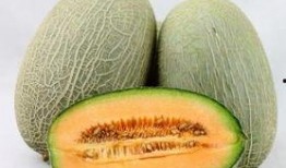 吃哈密瓜故事