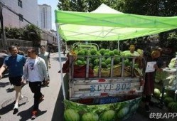徐州生物吃瓜,瓜果飘香里的生态奥秘探索