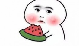 吃瓜和磁场有关